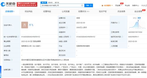 榮耀跨界布局游戲與信息服務，2000萬成立軟件子公司引發行業關注